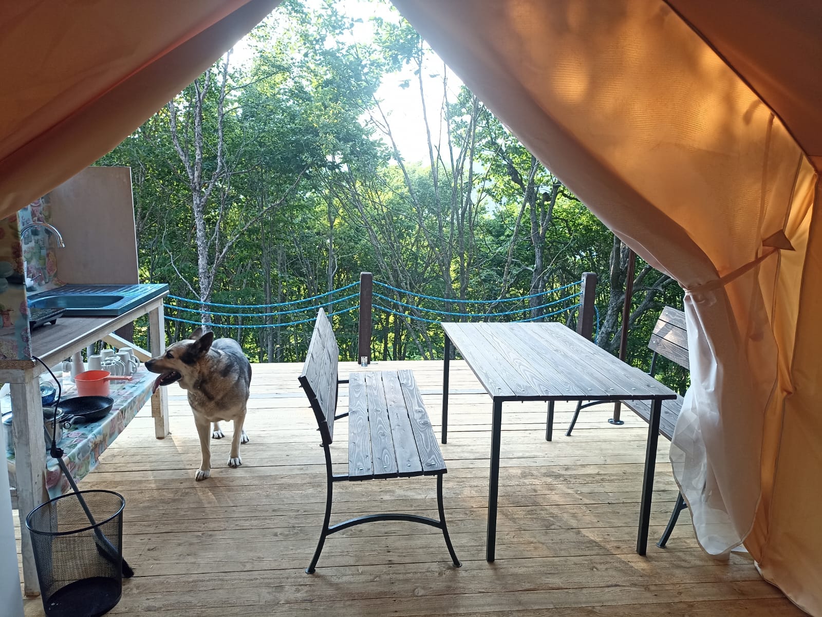 обеденная зона