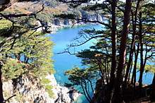 Осень на Гамове