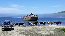 С. Даркина - Сельский пляж, открытие сезона.