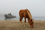 Конные экскурсии