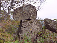 Драконы Гамова