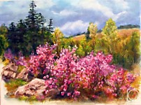 Багульник. Никольская Л.