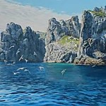 "Чайки. Мыс Гамова"