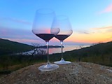 Гребешки морские Гребешки морские